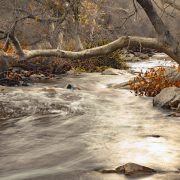 “Serenity by the Creek” by Sylvia Gaffney - Winner, People's Choice Category, 2024 Elfin Forest Recreational Reserve Photo Contest. Photo: Olivenhain Municipal Water District