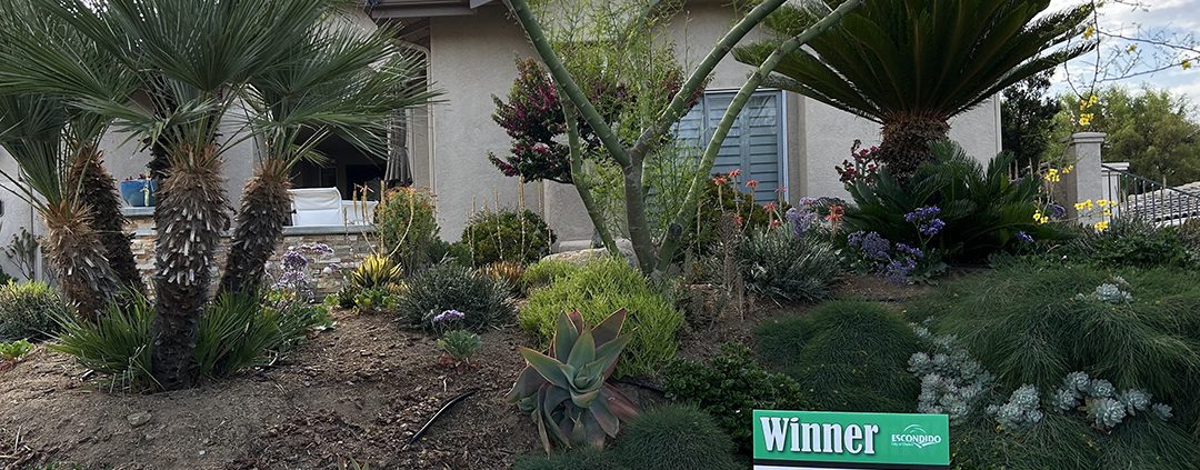 The Palmer family's winning entry in the 2024 City of Escondido Landscape Makeover Contest. Photo: City of Escondido
