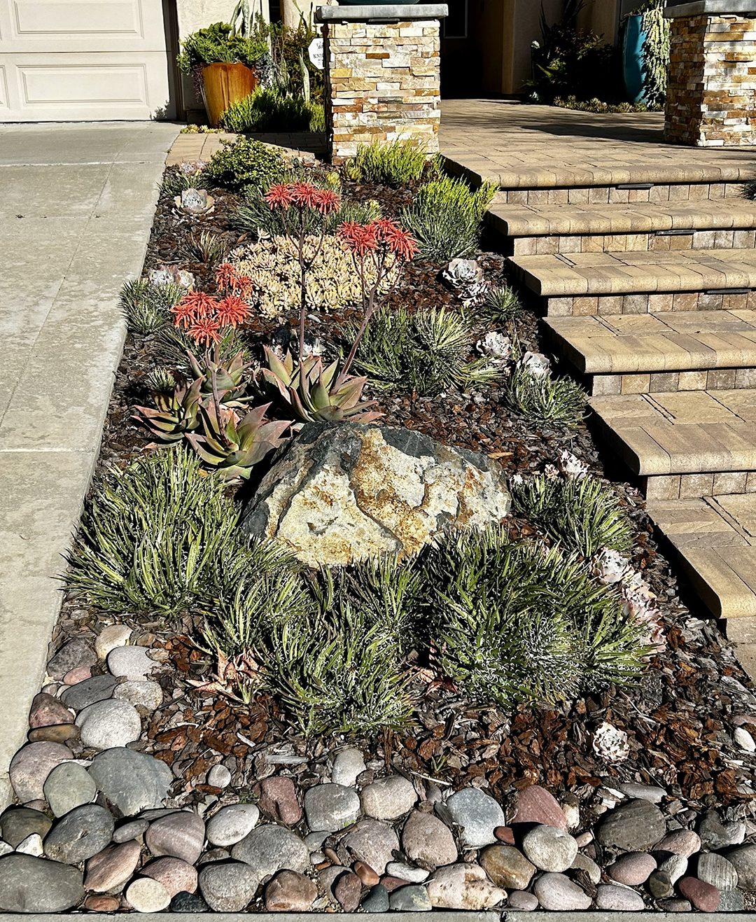 The Palmers used succulents and other plants, many of which they propagated themselves from cuttings. Photo: City of Escondido