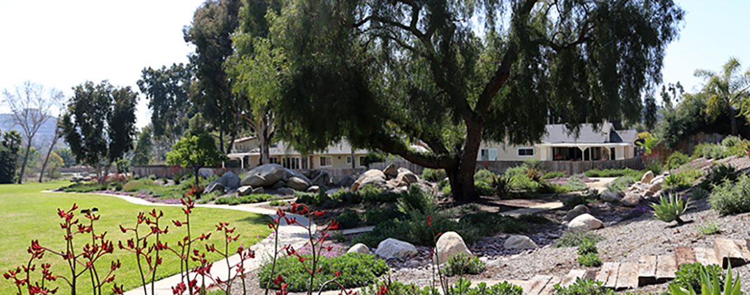Large scale landscape makeover projects like this one by the Jamacha Park HOA may be eligible for increased landscape rebates. Photo: Otay Water District