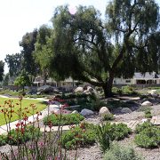 Large scale landscape makeover projects like this one by the Jamacha Park HOA may be eligible for increased landscape rebates. Photo: Otay Water District