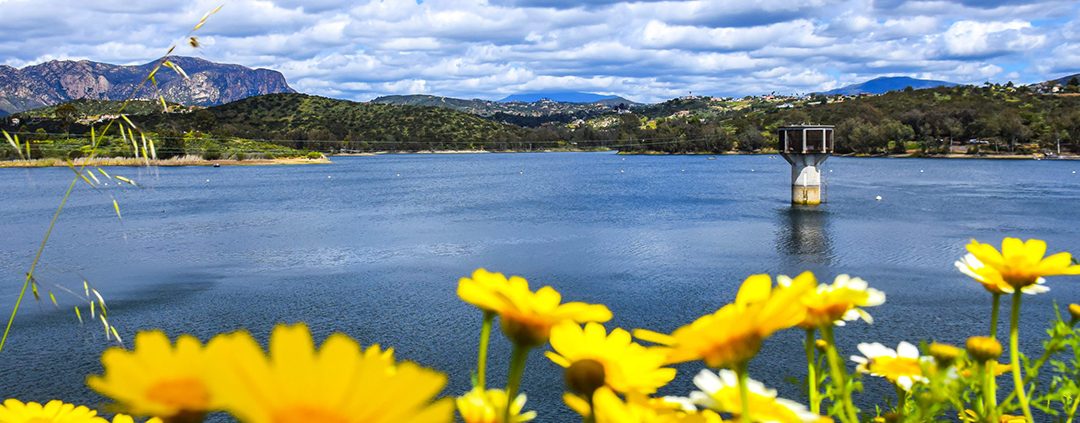 "A Spring Day at Lake Jennings," Scott Lagace