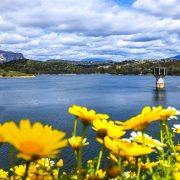 "A Spring Day at Lake Jennings," Scott Lagace
