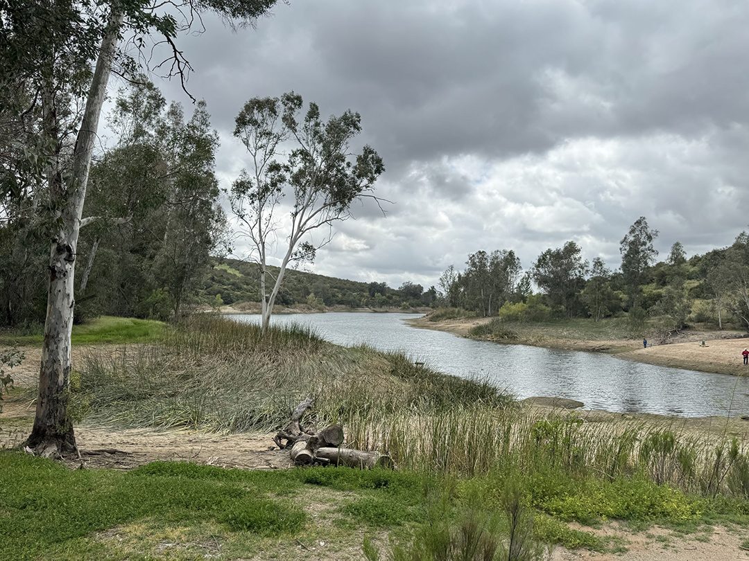 "Overcast," Lillian Heilpern photo contest