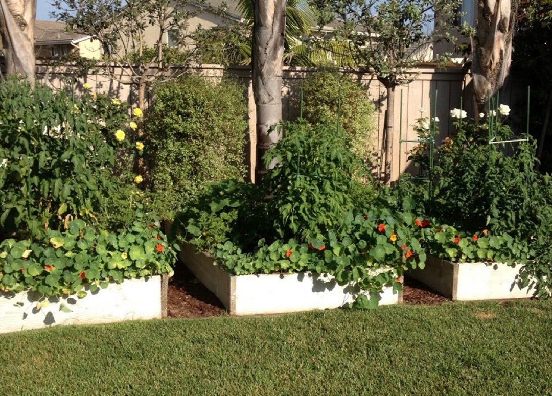 A look at the backyard before its makeover. Photo: Otay Water District landscape design