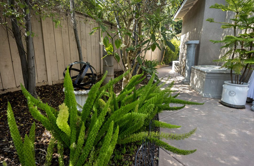 Shannon Nembach first began working on her side yard. Photo: Otay Water District