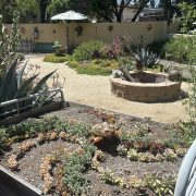The McCarters' backyard landscaping after its low-water-use makeover. Photo: Vista Irrigation District landscape design
