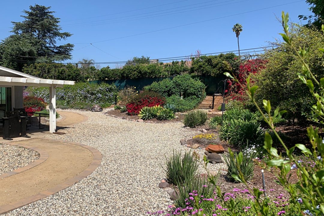 This Vista Irrigation District award-winning landscape makeover demonstrate the options for beautiful yards without turf. Photo: Vista Irrigation District landscape workshops