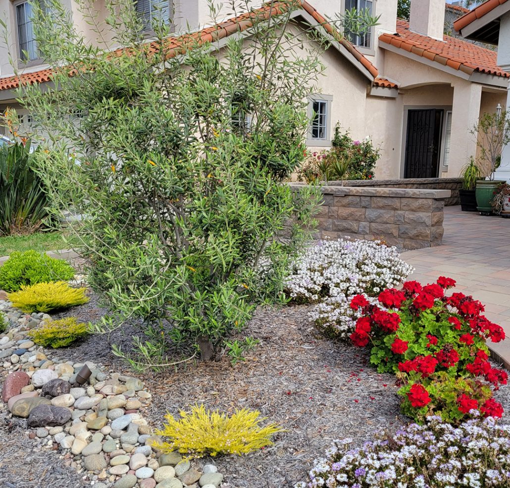 Vista Irrigation District And Vallecitos Water District Host Free