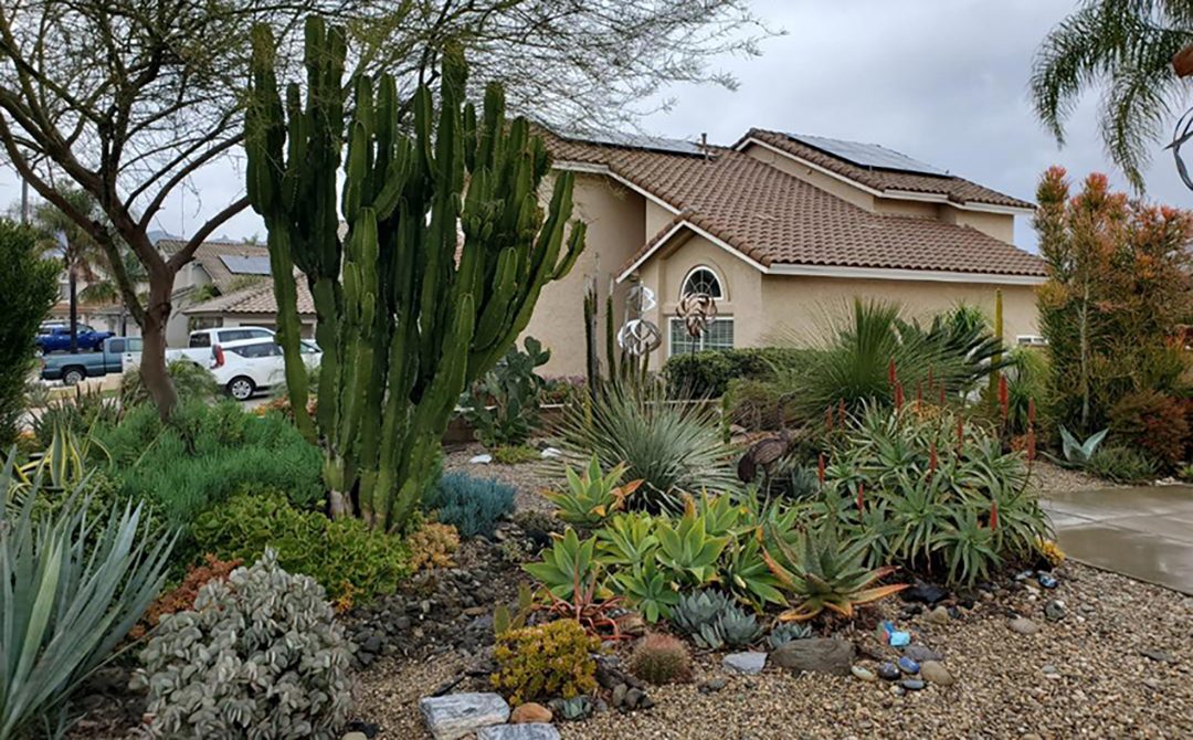 Donald De Tar's home after completing his winning landscape makeover. Photo: Vallecitos Water District landscape workshops