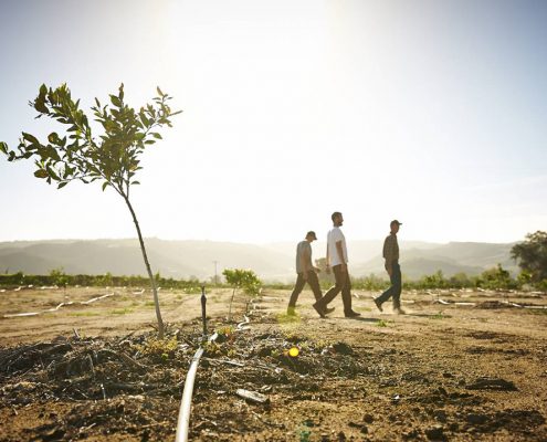 Managing both water and energy resources is vital to the success of Rancho Monte Vista, a 205-acre orchard in the Pauma Valley. Photo: Courtesy Cultivate California Farmer of the Year