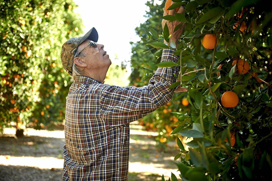Warren Lyall is recognized for his leadership and community service. Photo: Courtesy Cultivate California