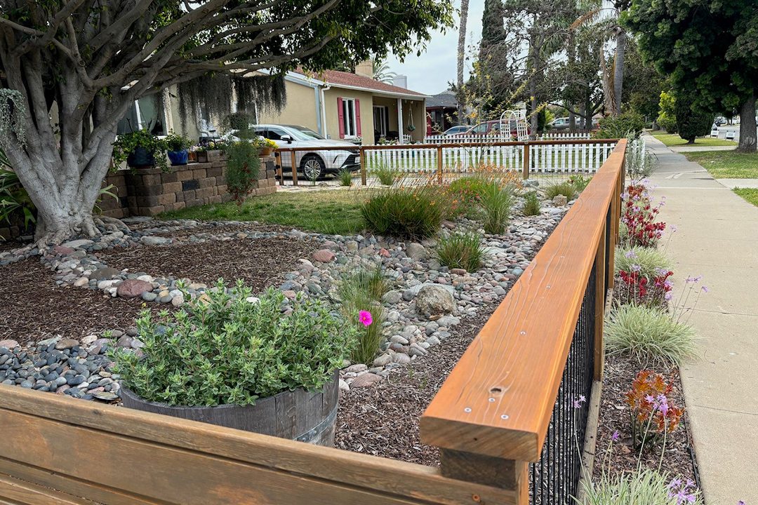 A winding dry riverbed retains water overflow from numerous rain barrels. Photo: Sweetwater Authority landscape makeover