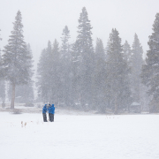 Members of the California Department of Water Resources Snow Survey team conduct measurements during the second media snow survey of the 2025 season at Phillips Station in the Sierra Nevada.  Photo: Xavier Mascareñas, California Department of Water Resources