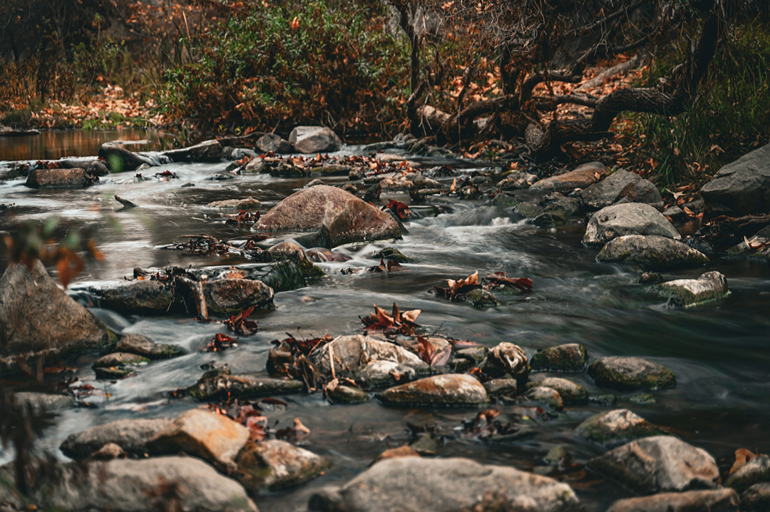The "Water Scenery" category winner is "Escondido Creek by Sky Strehlow. Photo: Olivenhain Municipal Water District