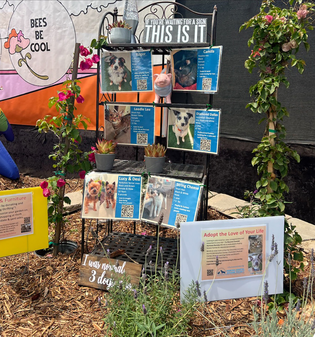 Embracing the "Summer Pet-Tacular" County Fair theme, Debby Dunn of the Water Authority partnered with the Rancho Coastal Humane Society to feature adoptable dogs. Photo: San Diego County Water Authority