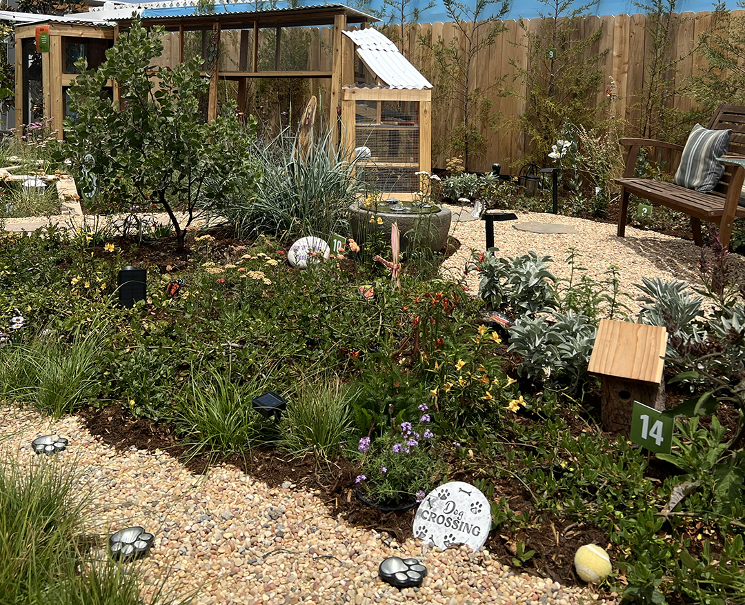 The California Native Plant Society's County Fair exhibit won multiple awards in 2025. Photo: San Diego County Water Authority