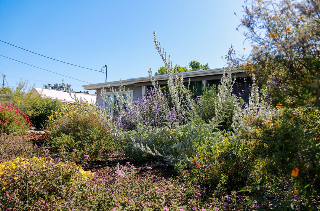 Every detail of the yard’s design was thoughtfully hand-crafted. Sinead sketched out a plan that included two river rock gardens and carefully chose planting areas. Photo: Helix Water District