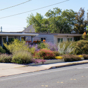 The beautiful Fletcher Hills yard filled with native plants is the winner of the Helix Water District 2025 WaterSmart Landscape Contest. Photo: Helix Water District