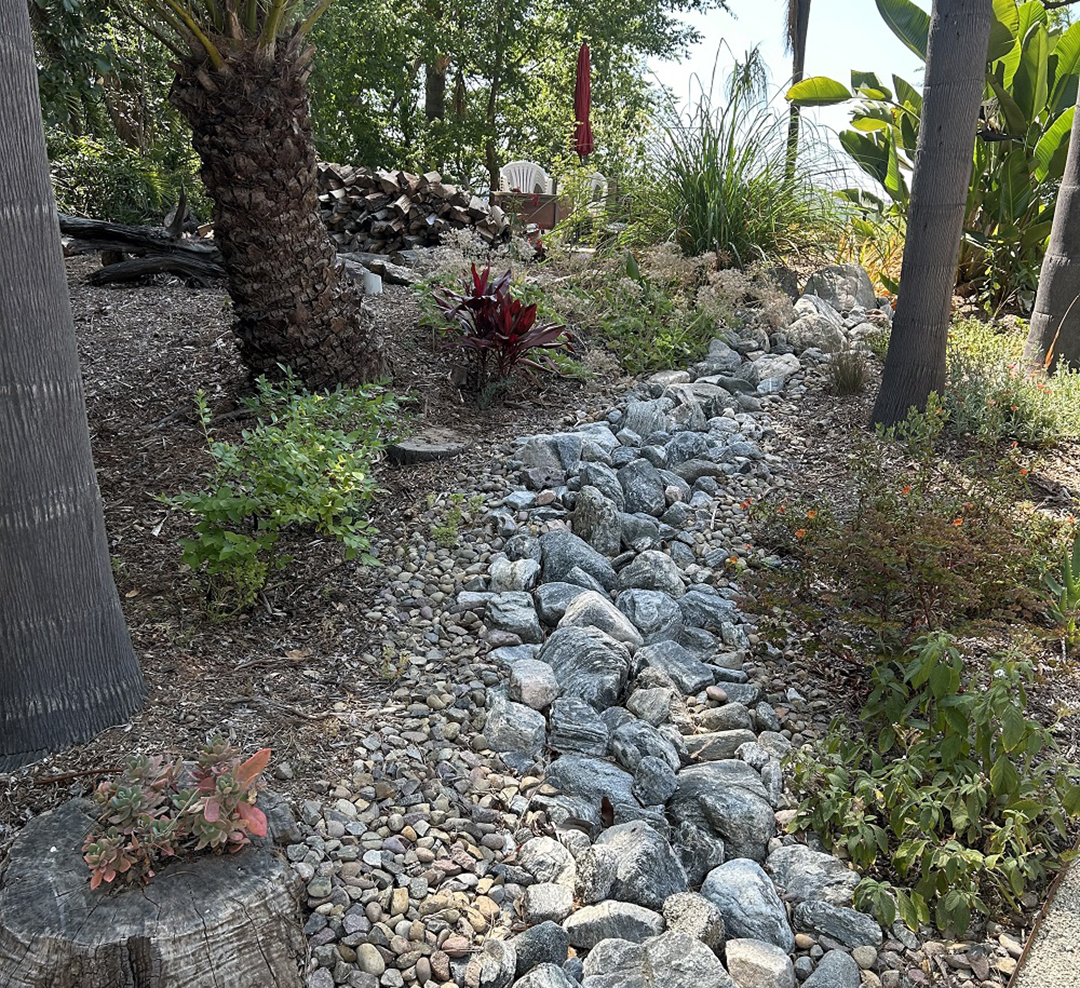 The Claermans named each of the zones and unique features throughout the yard. This dry riverbed feature is called “Rio Rudy” after the Claermans’ friend, Rudy, who helped Yannick with laying the rocks and myriad other jobs in the landscape transformation process. Photo: City of Escondido Landscape Contest