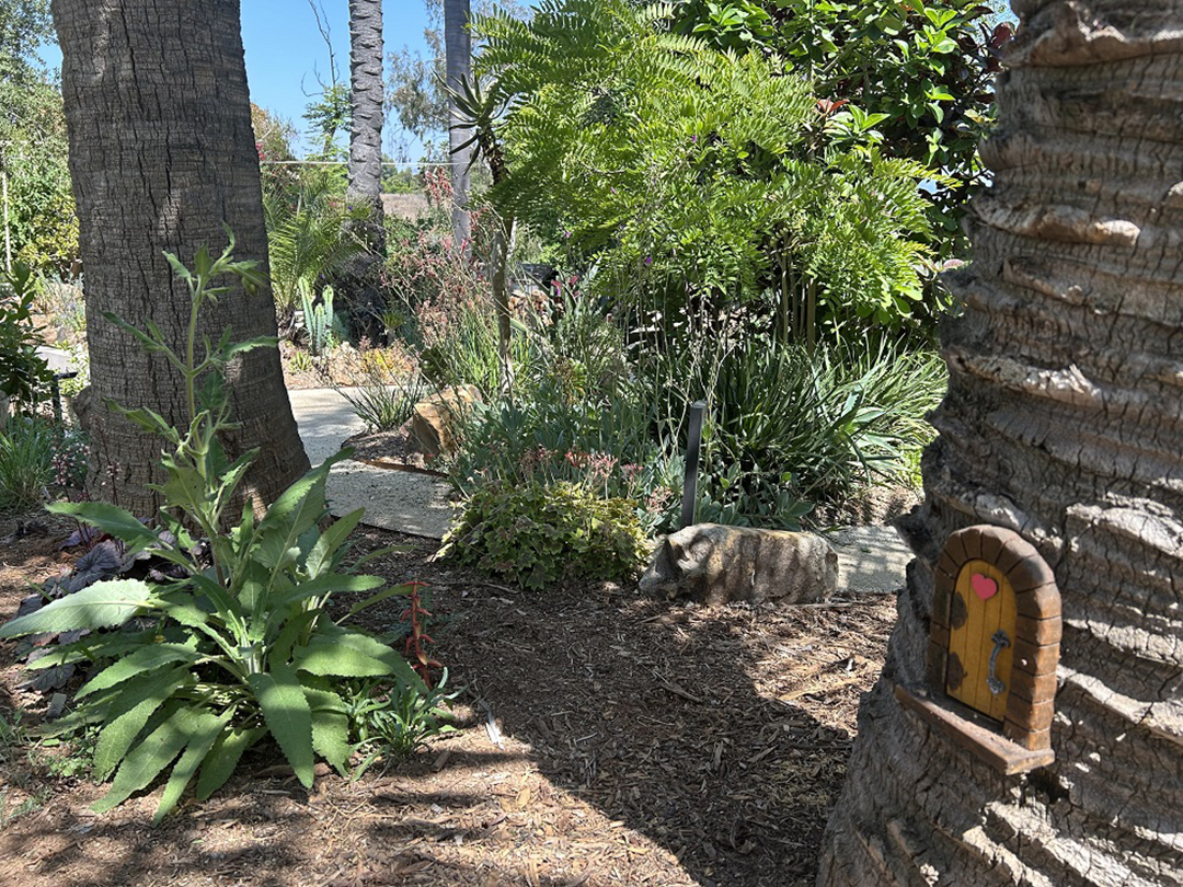 A door for the garden’s smallest and most whimsical visitors. Although you may not find fairies here, you are sure to see winged pollinators from bees to butterflies, and even bats (roosting in a recently installed bat house) gliding among the blooming natives. Photo: City of Escondido Landscape Contest