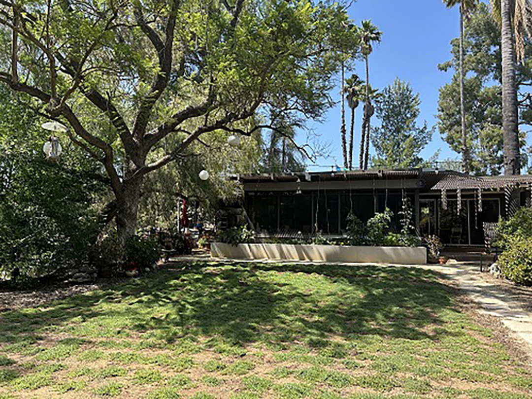 No longer a traditional lawn, this expanse of lush greenery is made up of 250 dwarf “Carpet of Stars” succulents. Photo: City of Escondido Landscape Contest