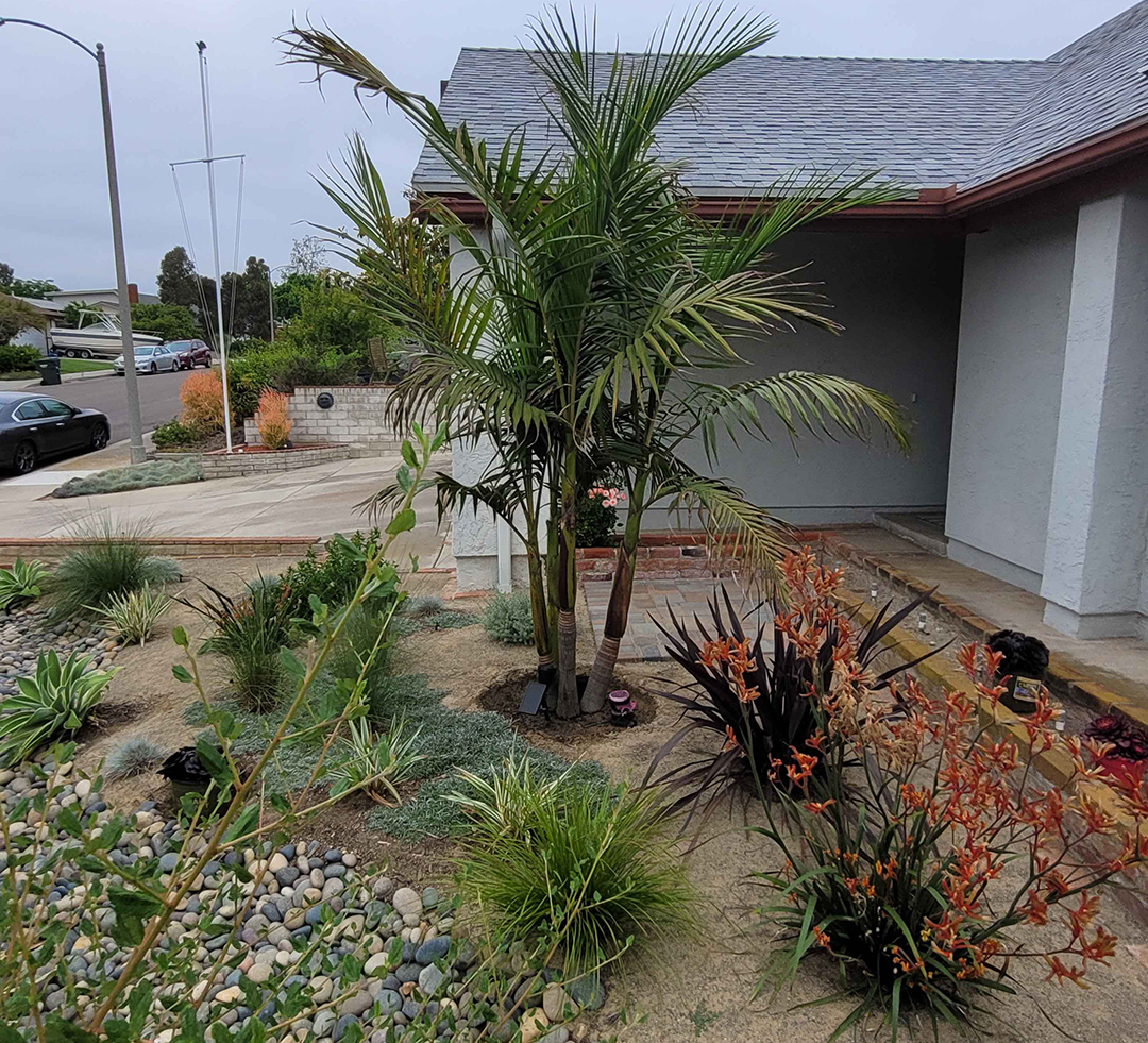 Plant choices are both drought tolerant and fire resistant. Photo: Olivenhain Municipal Water District Encinitas resident