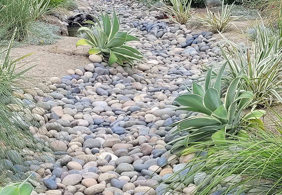 The dry creek bed is a major feature in the new landscape design. Photo: Olivenhain Municipal Water District