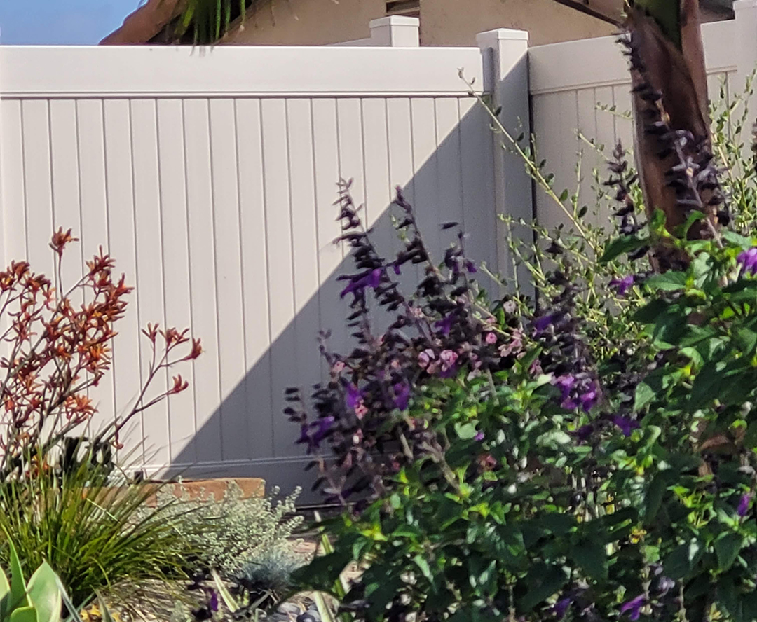 Salvias provide plenty of color in the winning landscape design. Photo: Olivenhain Municipal Water District