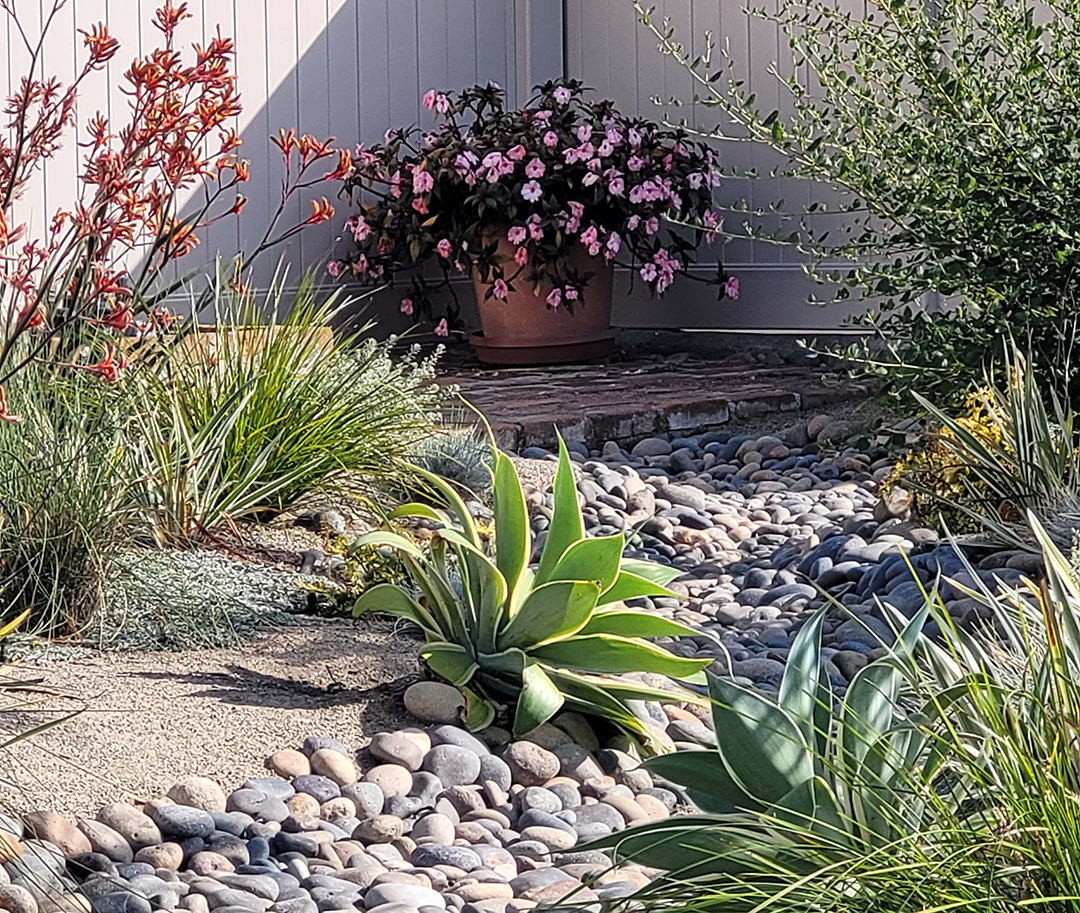 Award-winning landscape projects offer inspiration to other homeowners pursuing their own landscape makeovers. Photo: Olivenhain Municipal Water District Encinitas resident
