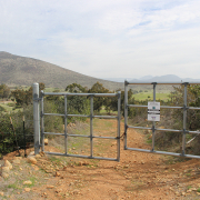 Over 250 different species of flora and fauna, and more than 25 special status species are found in the San Miguel Habitat Management Area, a a 240-acre biological reserve owned and maintained by the Otay Water District. Photo: Otay Water District