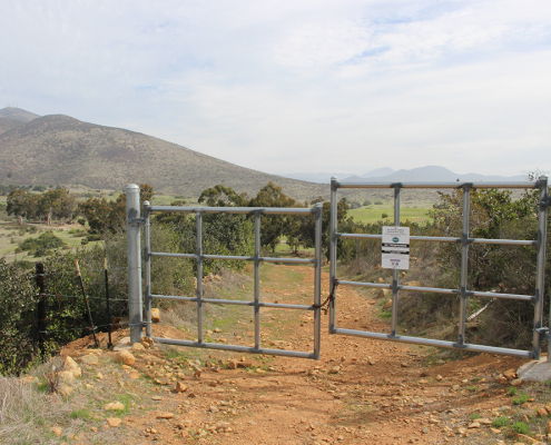 Over 250 different species of flora and fauna, and more than 25 special status species are found in the San Miguel Habitat Management Area, a a 240-acre biological reserve owned and maintained by the Otay Water District. Photo: Otay Water District