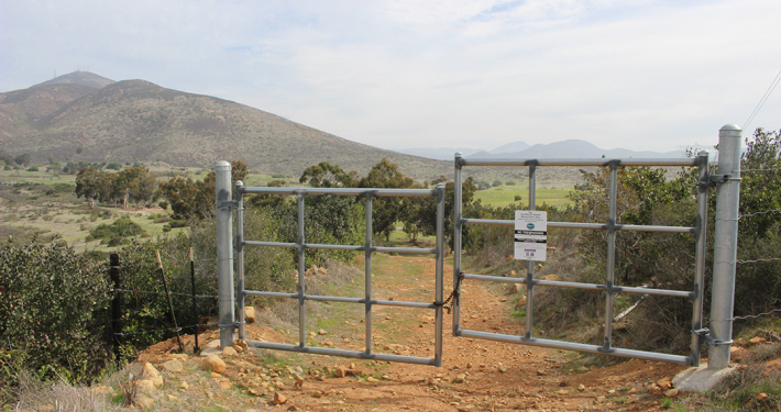 Over 250 different species of flora and fauna, and more than 25 special status species are found in the San Miguel Habitat Management Area, a a 240-acre biological reserve owned and maintained by the Otay Water District. Photo: Otay Water District