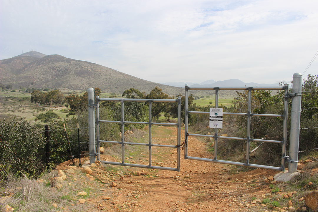 Over 250 different species of flora and fauna, and more than 25 special status species are found in the San Miguel Habitat Management Area, a a 240-acre biological reserve owned and maintained by the Otay Water District. Photo: Otay Water District