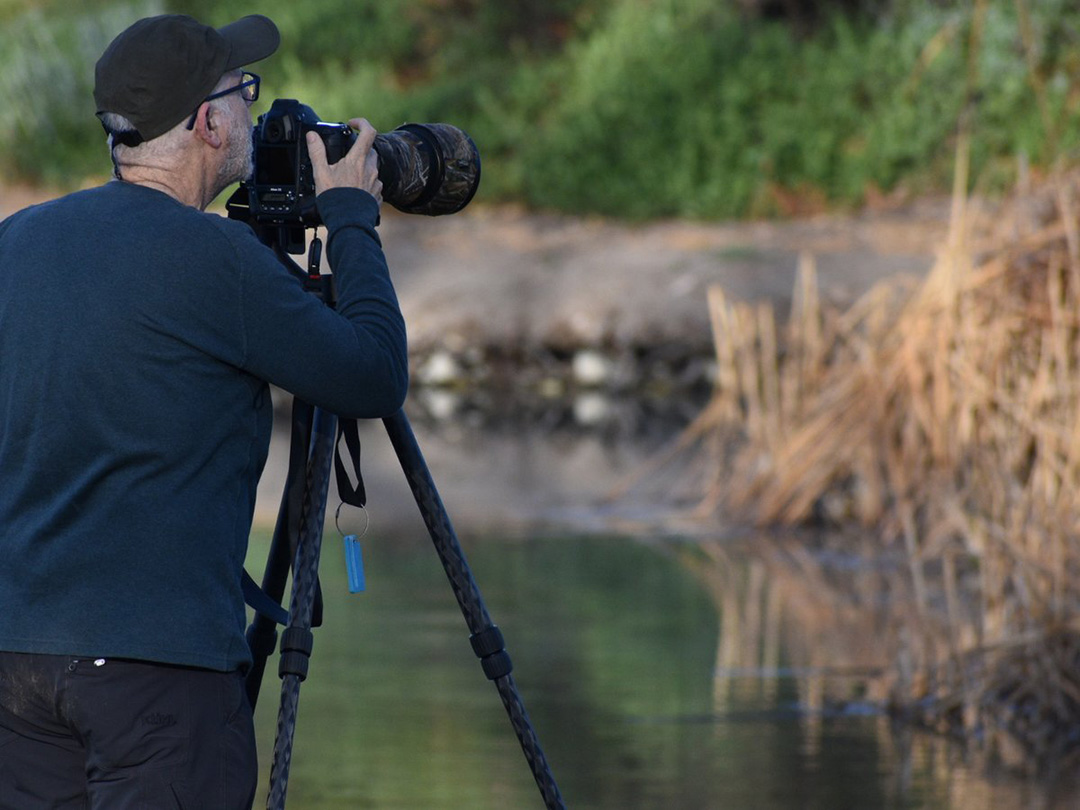 More than 230 species of birds migrate through or call Santee Lakes home. Photo: Santee Lakes reservoirs