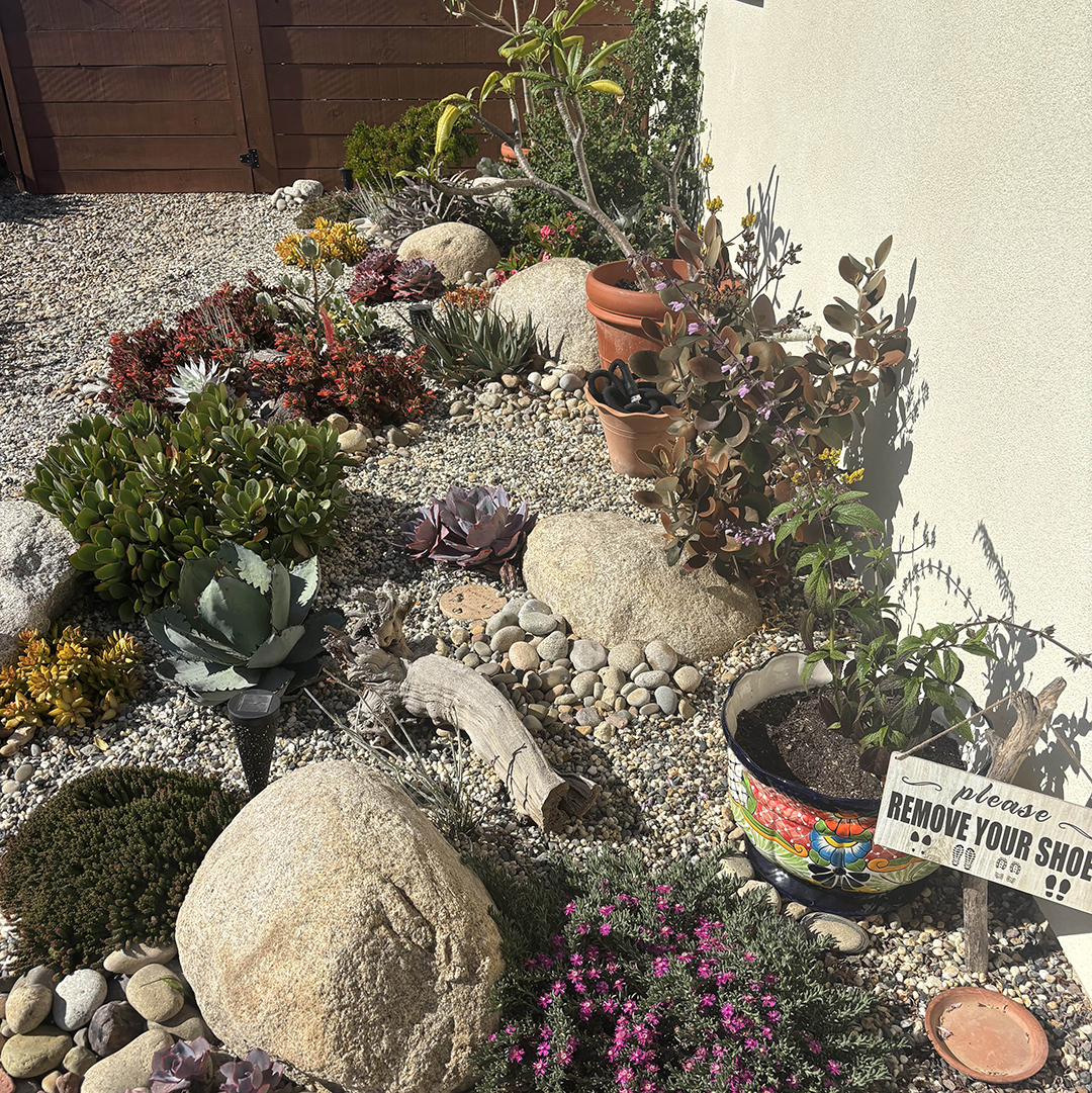 The landscaping features a variety of native plants. Photo: San Dieguito Water District