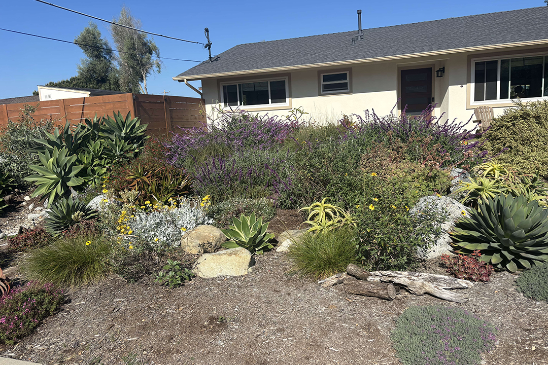 A wildlife and pollinator friendly landscape project is the 2025 winner of the San Dieguito Water District landscape makeover contest. Photo: San Dieguito Water District