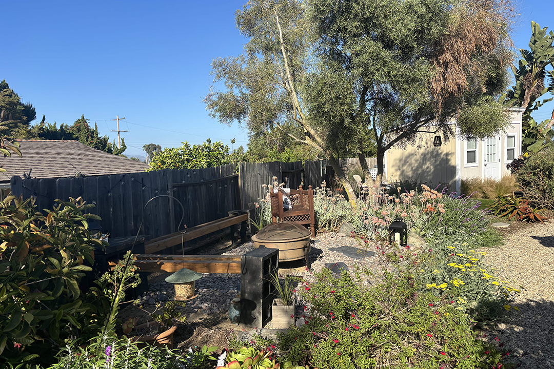 The drip irrigation system can detect rain and shutoff to avoid wasting water. Photo: San Dieguito Water DIstrict