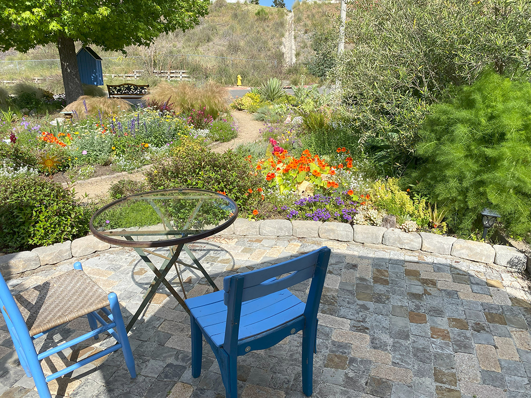 The new landscape features a wide variety of blooming plants in bright colors. Photo: Vista Irrigation District pollinators