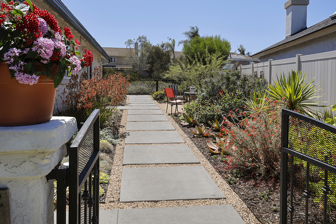 The award-winning makeover needs less water and less maintenance. Photo: Otay Water District low maintenance garden