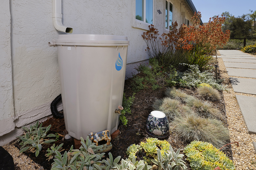 Two rain barrels capture water for potted plants. Photo: Otay Water District