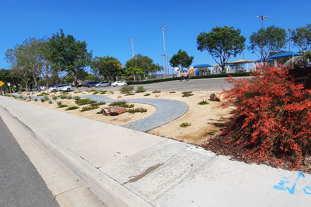The parking lot with new low-water use landscaping. Photo: Vallecitos Water District turf replacement