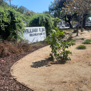 The City of San Marcos replaced 11,000 square feet of nonfunctional turf through a new pilot program. Photo: Vallecitos Water District