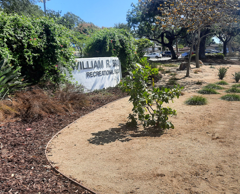 The City of San Marcos replaced 11,000 square feet of nonfunctional turf through a new pilot program. Photo: Vallecitos Water District