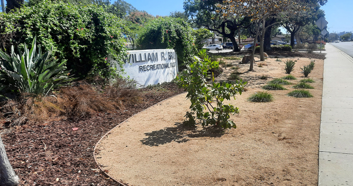 The City of San Marcos replaced 11,000 square feet of nonfunctional turf through a new pilot program. Photo: Vallecitos Water District