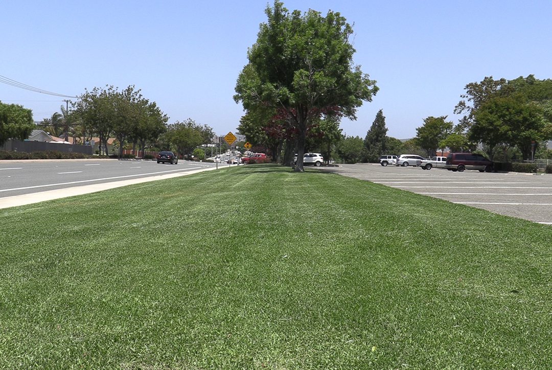 Nonfunctional turf like in this before photo was replaced with low-water use landscaping. Photo: Vallecitos Water District turf replacement