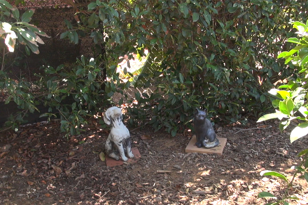 Construction crews were able to leave customer Diane McDaniel's backyard burial ground for her pets undisturbed. Photo: Vallecitos Water District