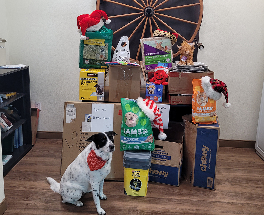 Lucy with donations for the San Diego Humane Society from Olivenhain MWD employees. Photo: Olivenhain Municipal Water District holiday giving