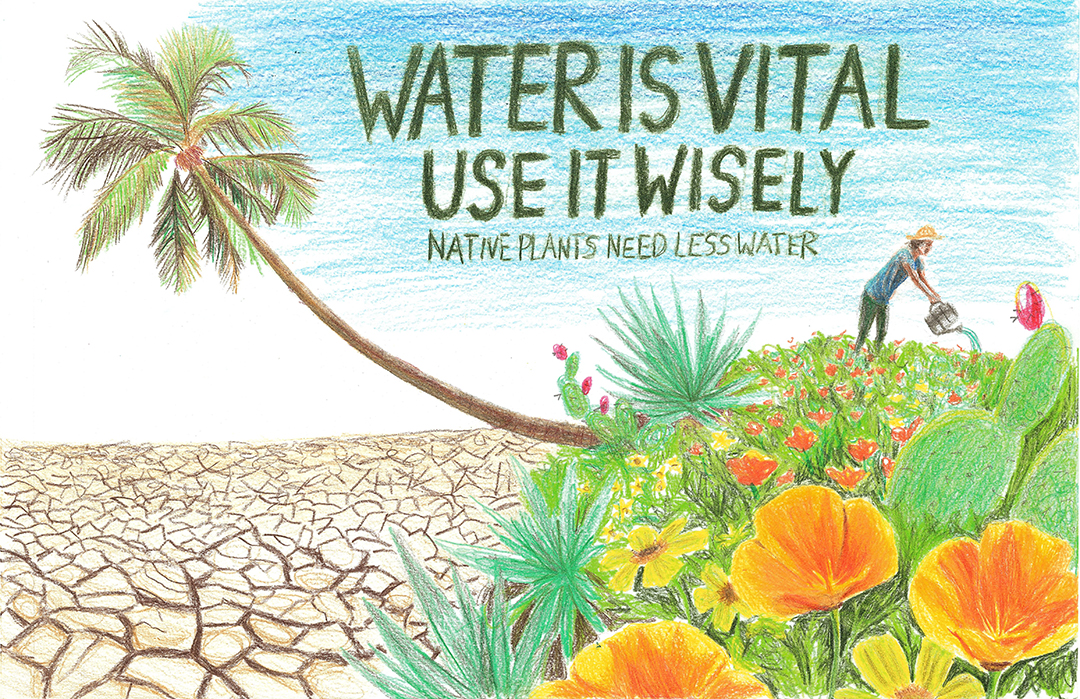 The winning entry from Emma Phillips. Photo: Helix Water District art show