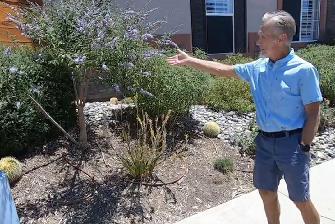 Dean Williams won the 2023 Vallecitos Water District Landscape Makeover contest, which jump started his interest in gardening. Photo: Vallecitos Water District